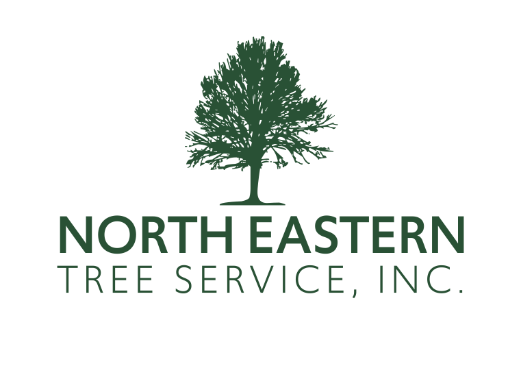 North-Eastern Tree Service Custom Logo